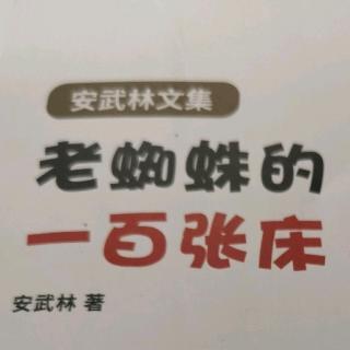 安武林文集老蜘蛛的，米粒上的花朵一