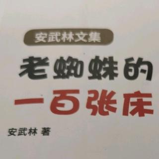 安武林文集老蜘蛛的100张床米粒上的花朵二