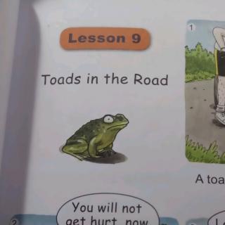 Toads in the Road(L9)