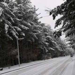 《冬韵》文/杨成明 诵/雪花飘飘