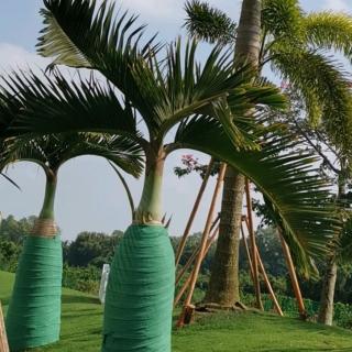 《童谣》 跷跷板