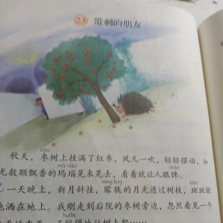 23.带刺的朋友