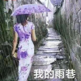 《我的雨巷》  文   阿紫