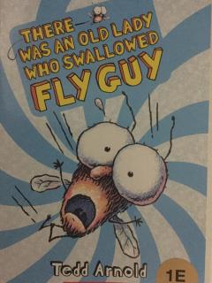 There was an old lady whoSWALLOWED FLY GUY