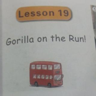 刘雨宸 Gorilla on the Run！