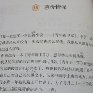 18 慈母情深