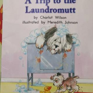 挑战A trip to the laundromutt 11.26