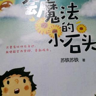 《会魔法的小石头》张景皓