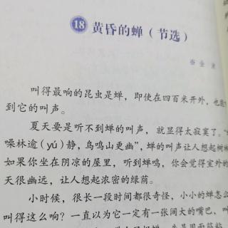 黄昏的蝉