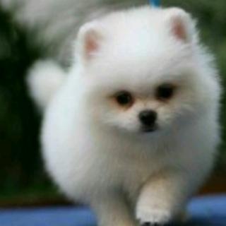 科学和英语和语文