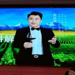 王洪亮王董剖析云酒庄