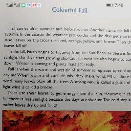 Colourful Fall