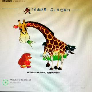 长颈鹿🦒和小刺猬🦔比本领