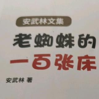 安武林文集老蜘蛛的100张床咕嘟咕嘟