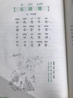 乐游原