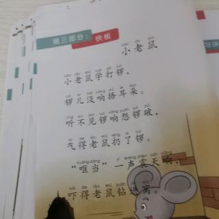 小老鼠