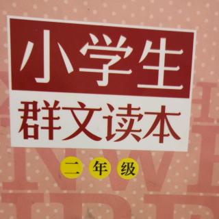 关于中国人取名字的故事