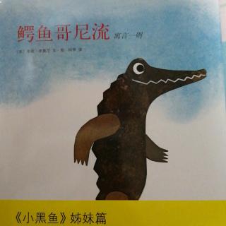 鳄鱼哥尼流