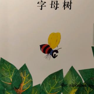 字母树