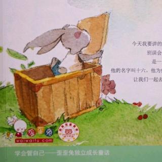 住在箱子里的兔子6