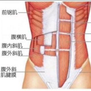 濡鸿的瑜伽碎碎念——为啥启动核心要踩脚后跟