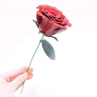 《A Rose》儿童双语晚安故事