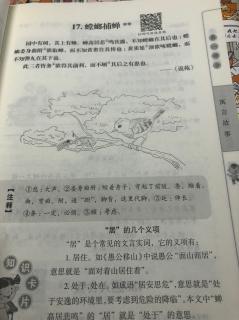 小古文启蒙 17.螳螂捕蝉