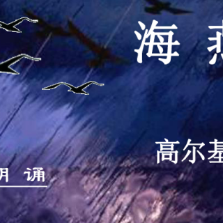 海燕/作者：高尔基/诵读：豪克