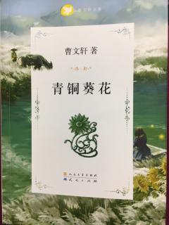 青铜葵花（曹文轩）第二章5