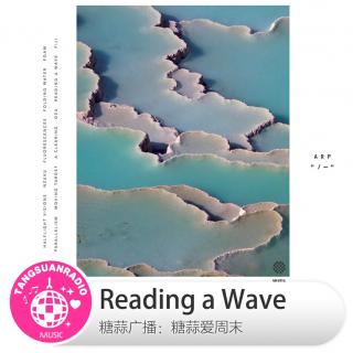 糖蒜愛周末：Reading a Wave