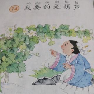 我要的是葫芦