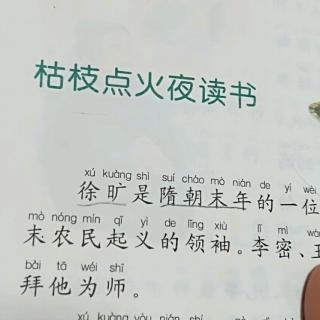 杜怡臻阅读打卡第六天之①《枯枝点灯苦读》