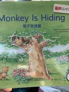 Monkey Is Hiding