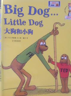 兰登英语绘本：big dog little dog（上）