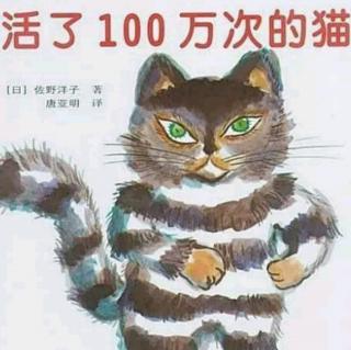 绘本故事《活了100万次的猫》