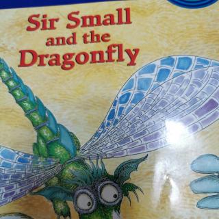 Sir small and the dragonfly7