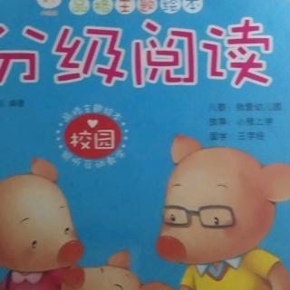 县幼儿园大八班郁镐泽《小猪上学》