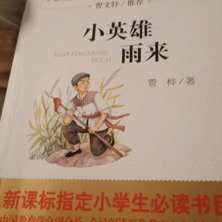 小英雄雨来