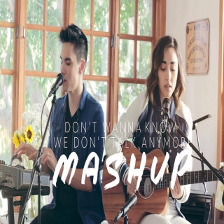 （Sam Tsui/Alex G）Don’t wanna konw/We don't talk any more