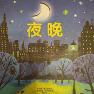 夜晚【小小主播乔治出场】