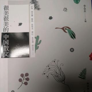 很美很美的中国散文:树与柴火