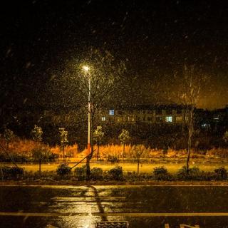 读诗：张文武《今夜有雪》《夜归人》