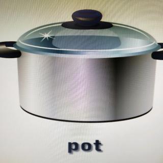 pot