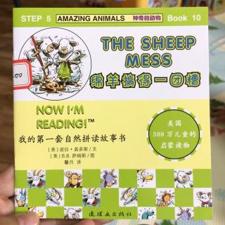 🐑the sheep mess🐑