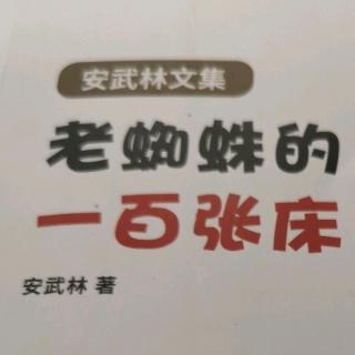 安武林文集老蜘蛛的100张床，神奇的怀表