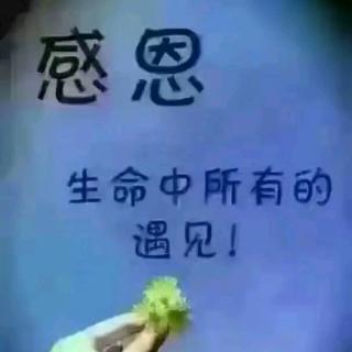 神奇的语言