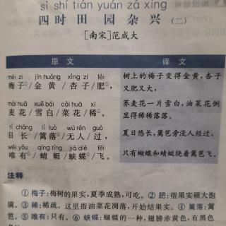 《四时田园杂兴》其二 南宋•范成大