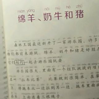 杜怡臻阅读打卡第八天之①《绵羊、奶牛和猪》