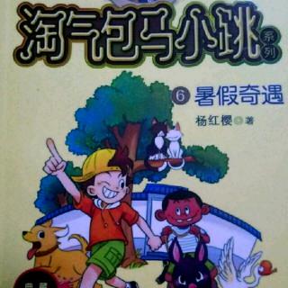 《淘气包马小跳 暑假奇遇》：追踪果子狸