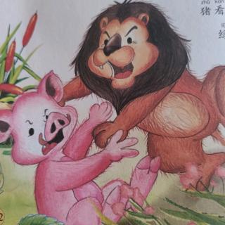 狮子和野猪
